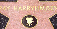 RH Star
